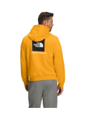 The North Face Men's Evolution Box NSE Regular Hoodie