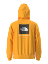 The North Face Men's Evolution Box NSE Regular Hoodie