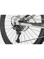 Cannondale Moterra 3