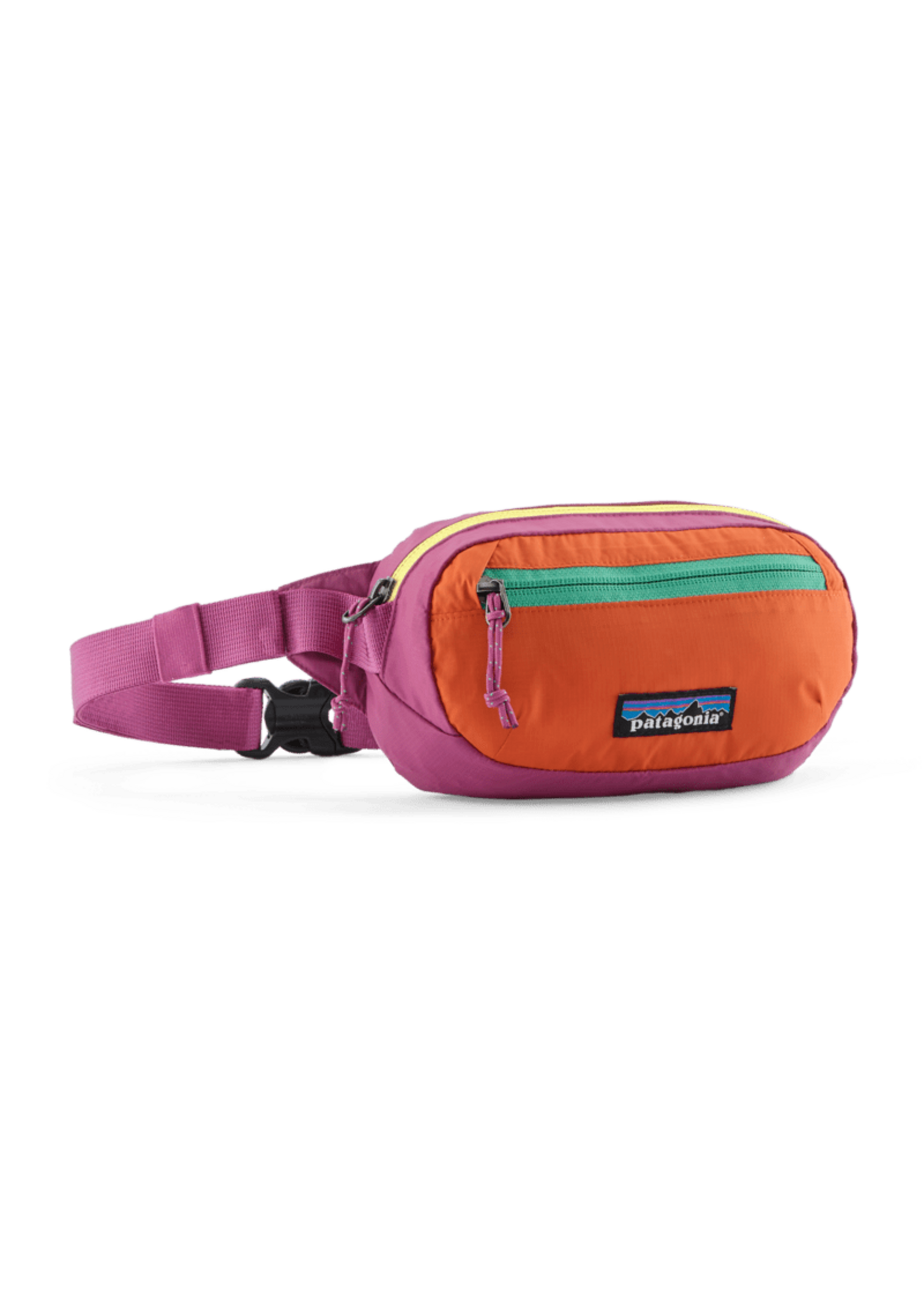Patagonia Terravia Mini Hip Pack 1L - Pathfinder of WV
