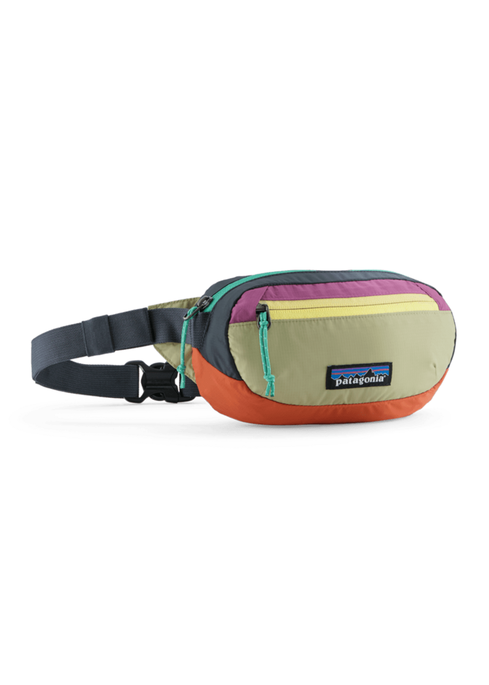 Patagonia Terravia Mini Hip Pack 1L - Pathfinder of WV