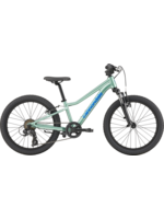 Cannondale Kids Trail 20
