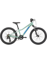 Cannondale Kids Trail 20