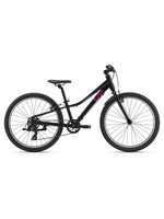 LIV Tempt 24 Lite