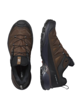 Salomon Men's X Ultra 360 Leather GTX Hiking Shoes