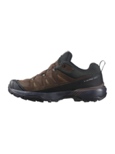Salomon Men's X Ultra 360 Leather GTX Hiking Shoes