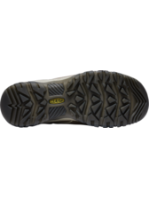 Women's Targhee IV Waterproof Hiking Shoe