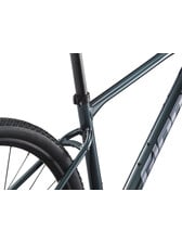 Giant Roam 2