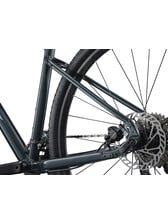 Giant Roam 2