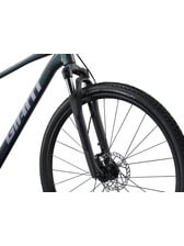 Giant Roam 2