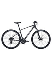 Giant Roam 4