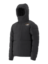 The North Face Men's HMLYN 30 Anniversary Parka