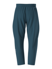 The North Face Men's Tekware Grid Pant