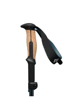 Black Diamond Trail Vista FLZ Trekking Poles