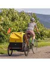 Burley Bee Child Trailer - Double, Yellow