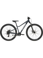 Cannondale Trail 26