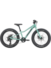 Cannondale Kids Trail 20 Plus NEW