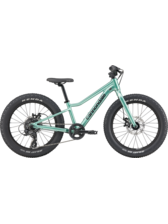 Cannondale Kids' Trail 20 Plus