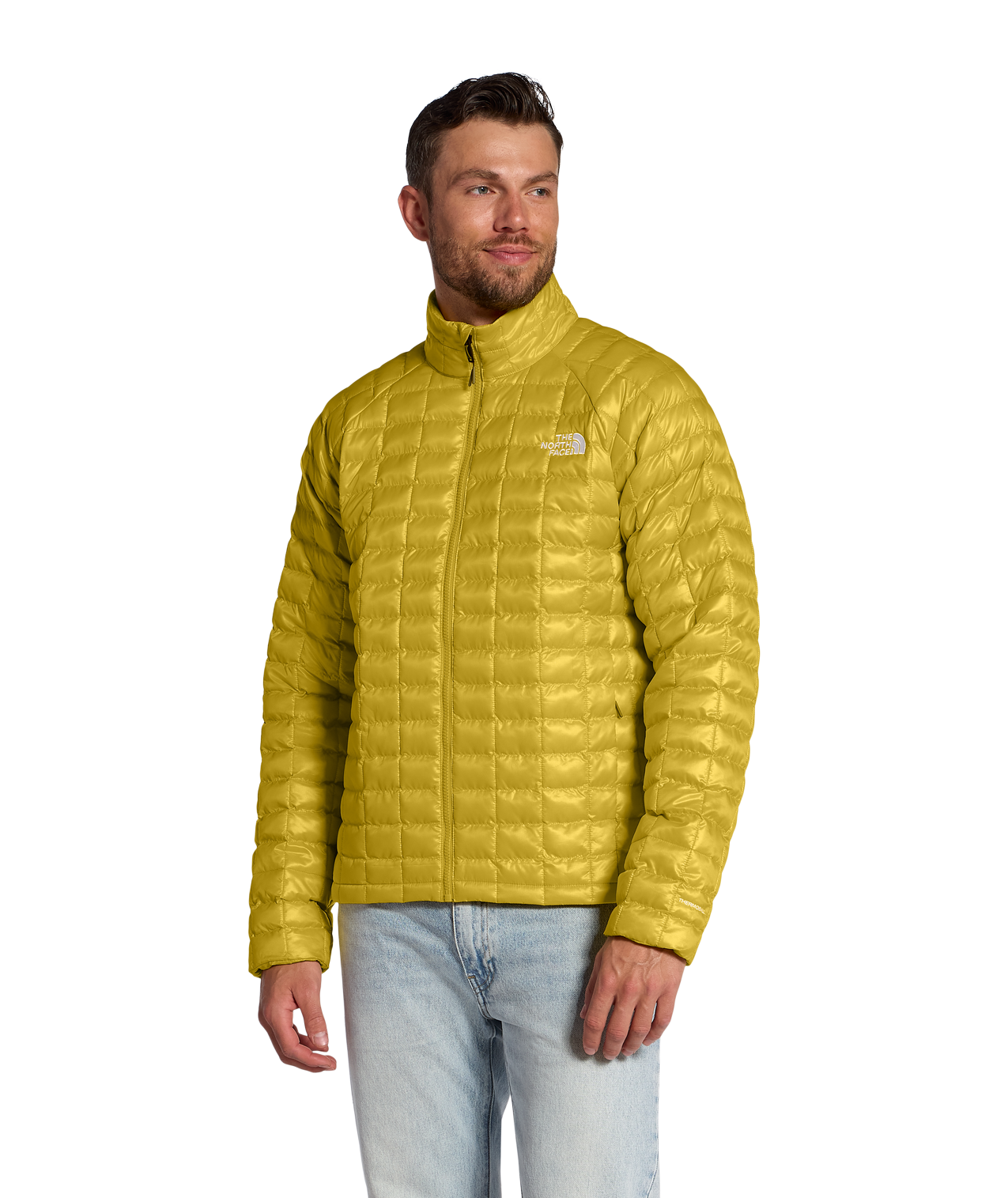 Pigment Yellow