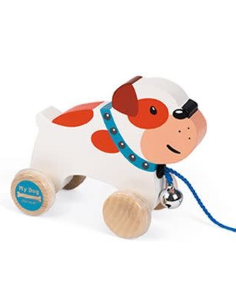 Chien à Promener Bulldog
