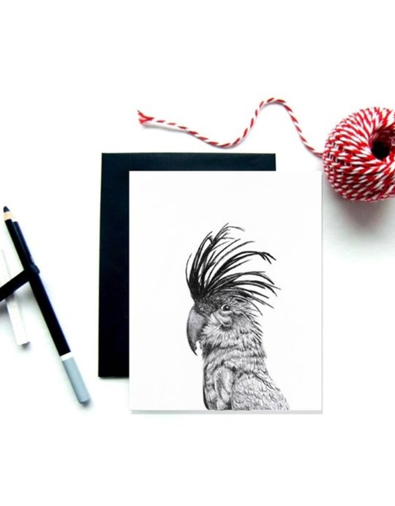 Carte De Souhait Cacatoes Bebe Loup