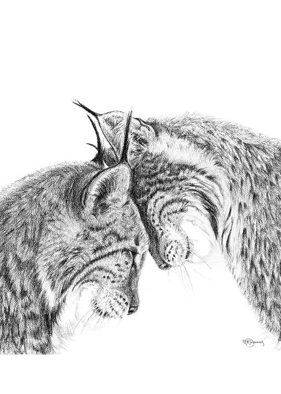 Le Nid Bebe Loup