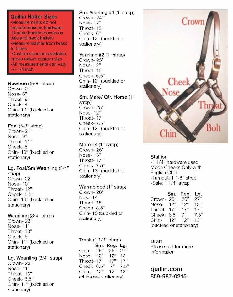 Quillin Halter Size Quillin Leather & Tack, Inc
