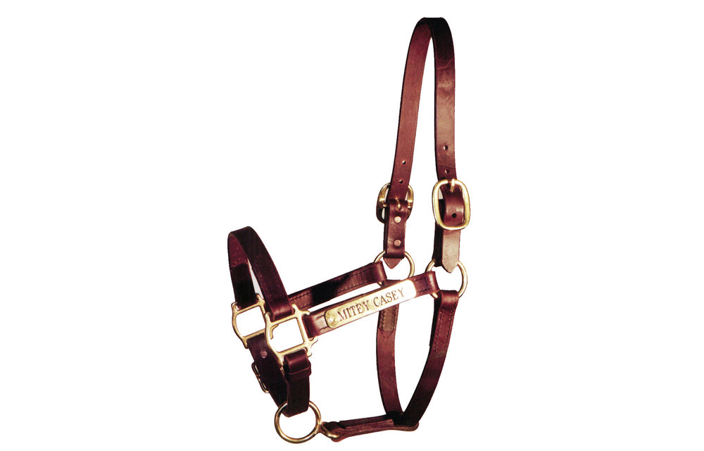 Custom Shop Turnout Halter