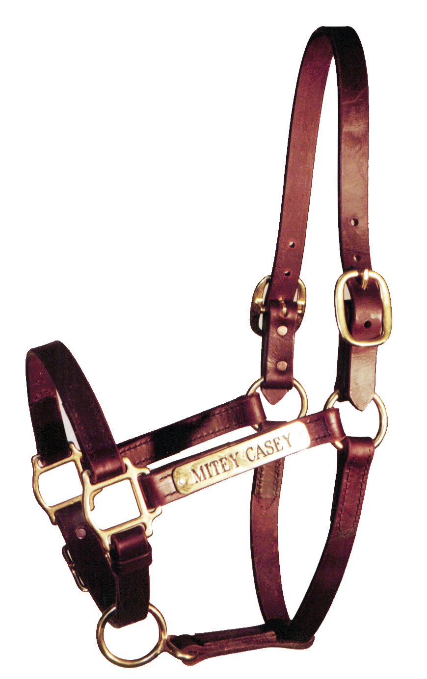 Custom Shop Turnout Halter Quillin Leather & Tack, Inc