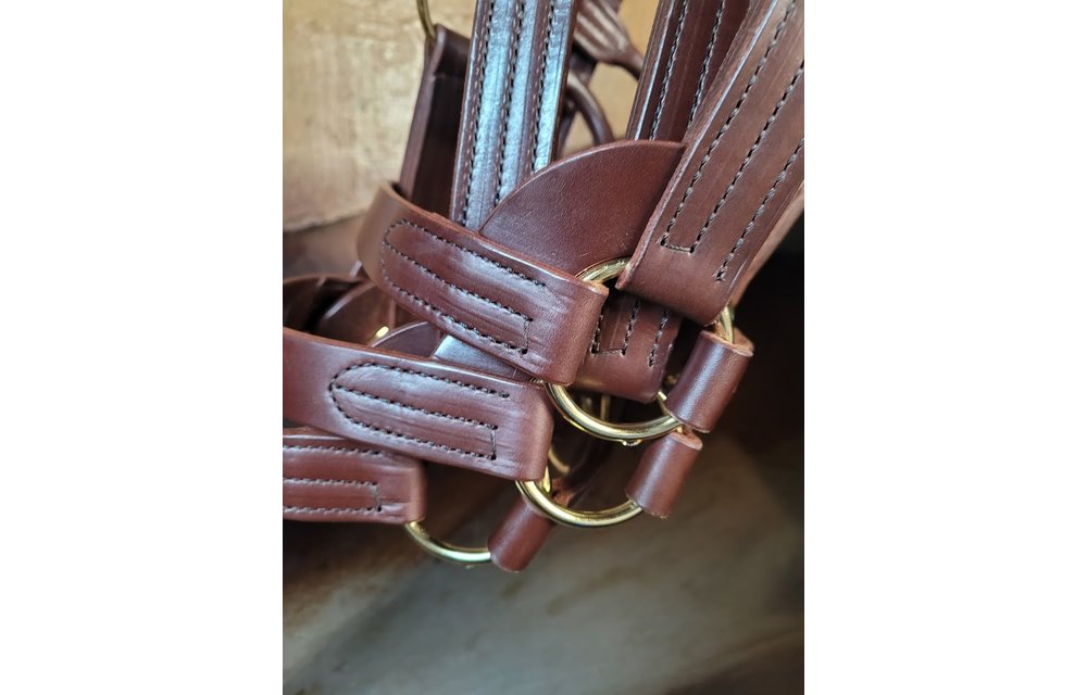 Stallion (SA)