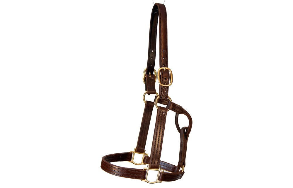 Track Halter