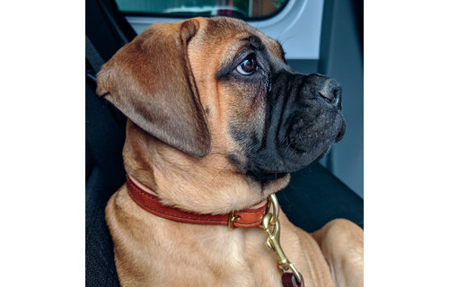 Leather Hildi Stitched Collar