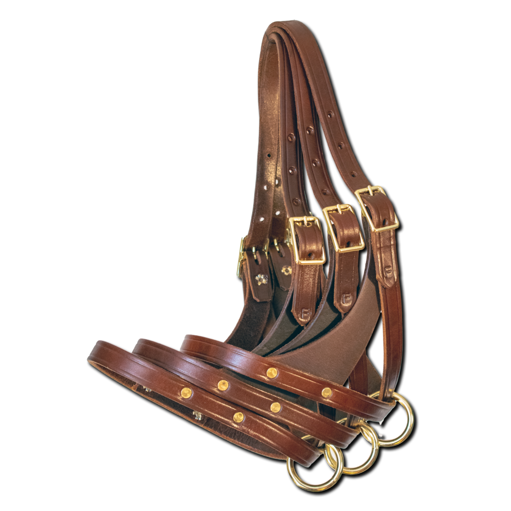 Foal Figure 8 Halter Quillin Leather & Tack, Inc