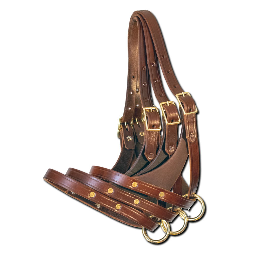 1 Halter Plate Belt - Quillin Leather & Tack, Inc