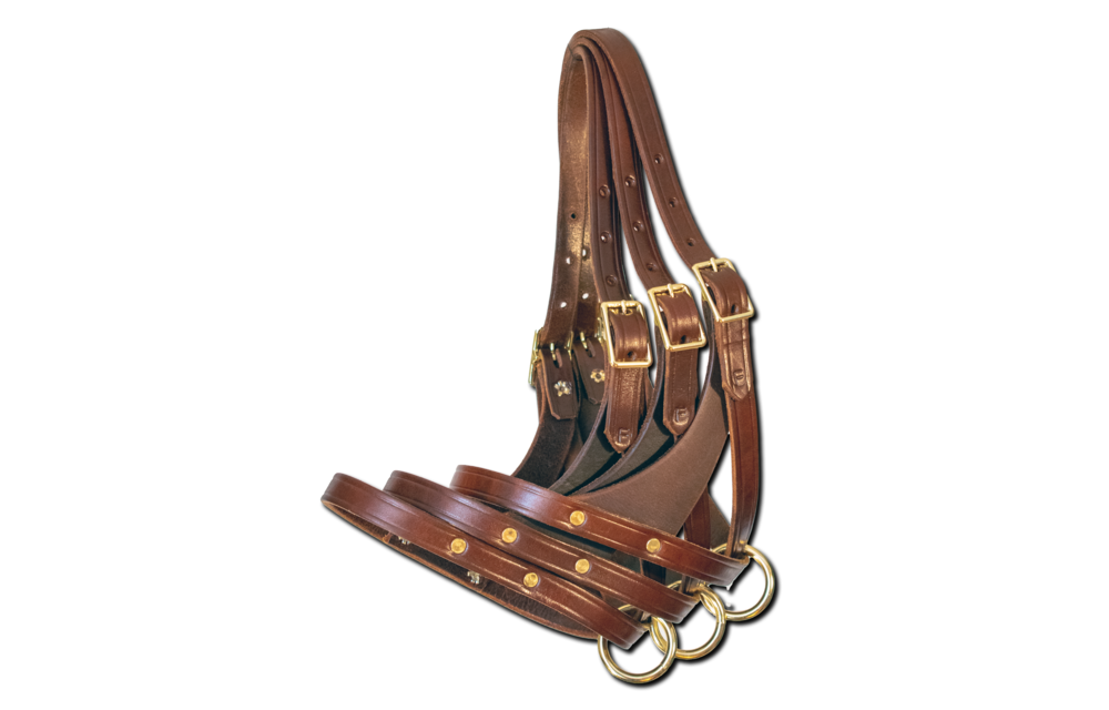 figure 8 foal halter