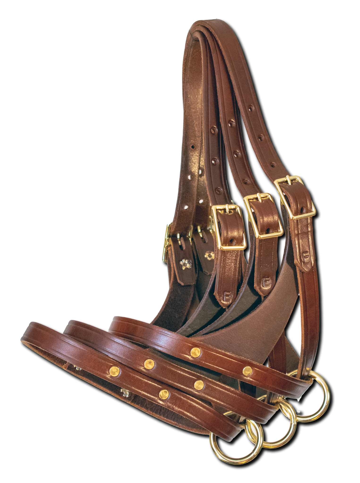 Foal Halters Save 20%