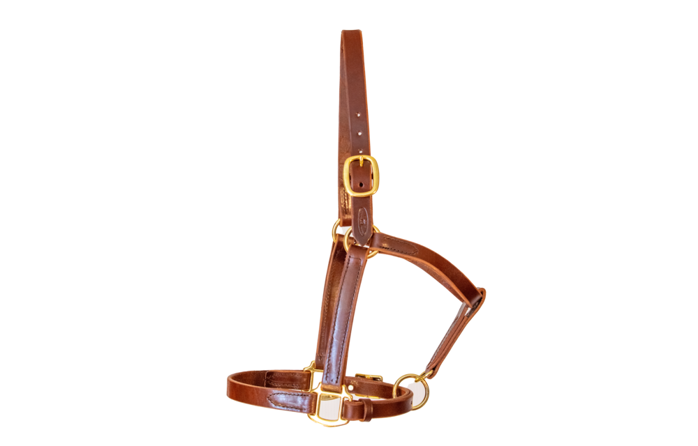 Turnout Halter