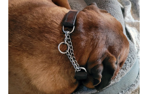 Leather Training Collar