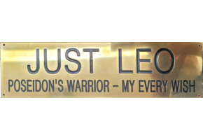 Stallion Stall Plate - 1 Line - 3 1/2" x 12"