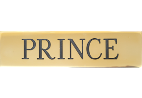 Stall Plate 1 Line 2" x 8"