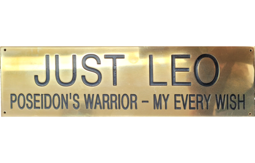 Stall Plate 1 Line 2" x 8"