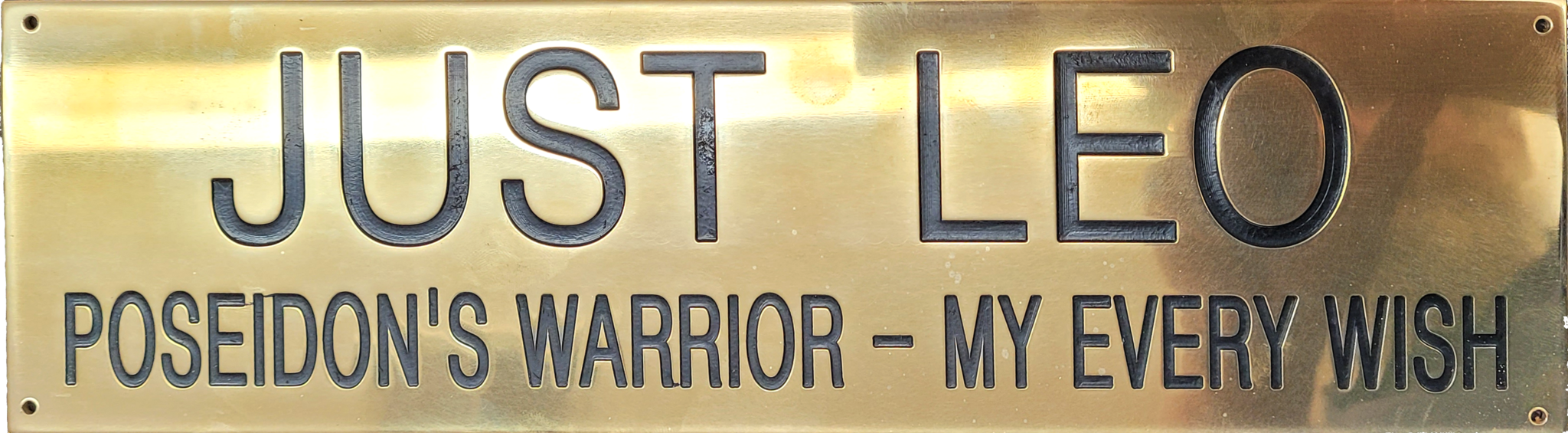 Stall Plate 1 Line 2" x 8"