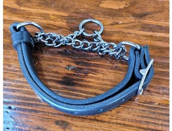 LeatherTraining Collar