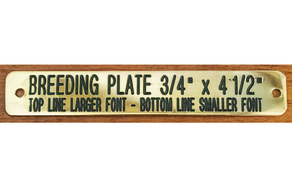 Custom Shop Turnout Halter