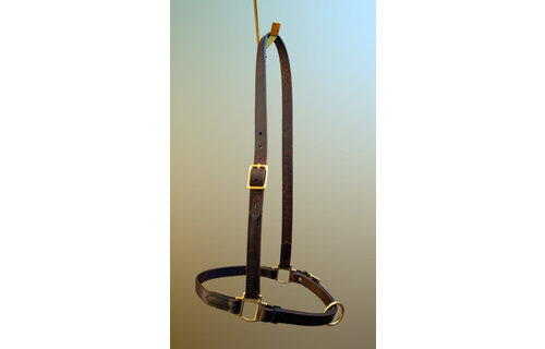 Grooming Halter - Regular