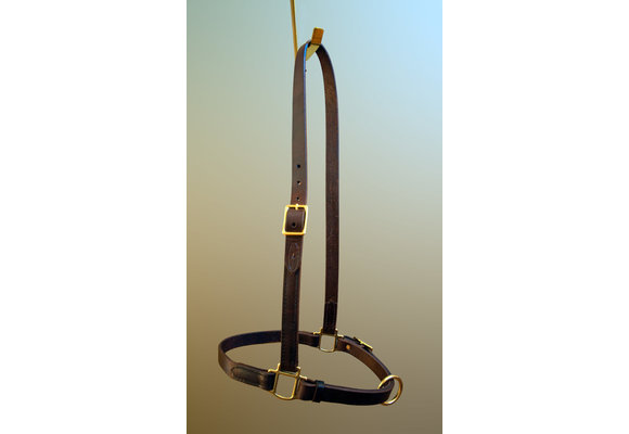 Grooming Halter - Regular