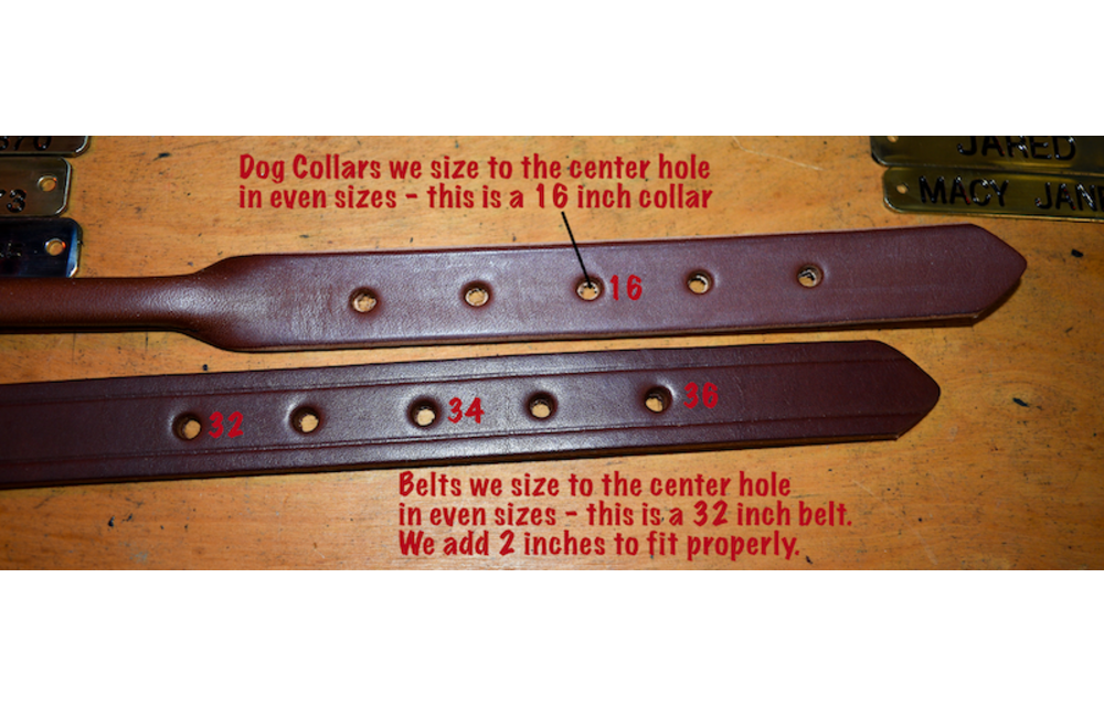 1 1/4" Halter Plate Belt