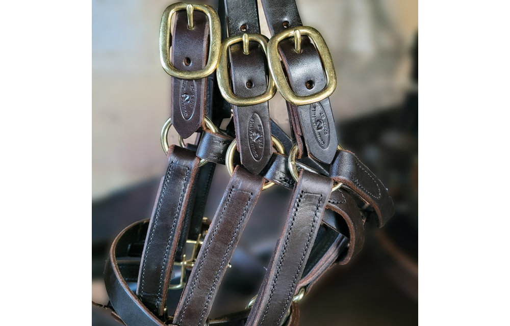 Special #2 Yearling Turnout Halter