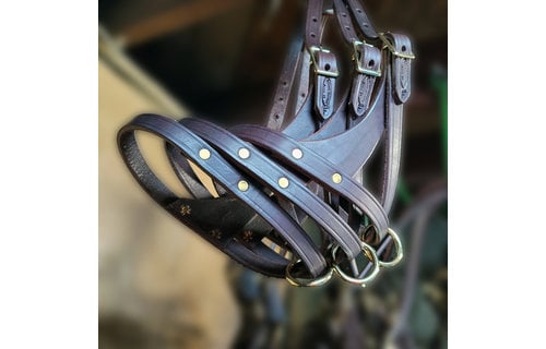 Foal Figure 8 Turnout halter