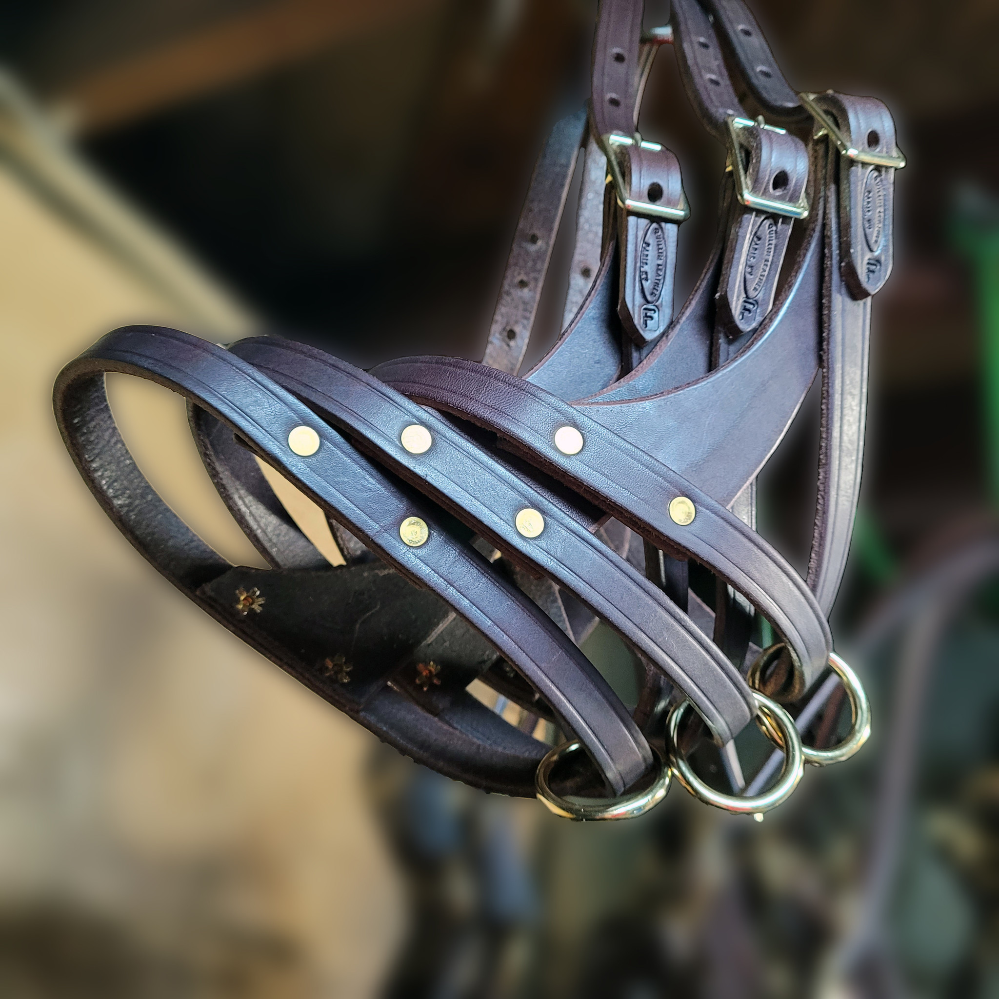 Foal Halters Save 20%